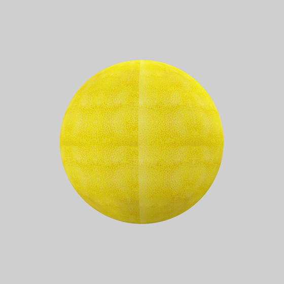 Purple Lemon 3D Model with PBR Textures